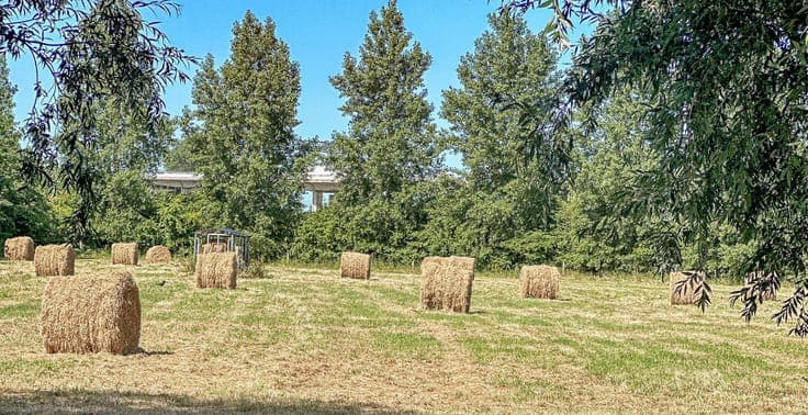 De Rozeblomme, 16e eeuwse abdijhoeve met vergunning voor ...