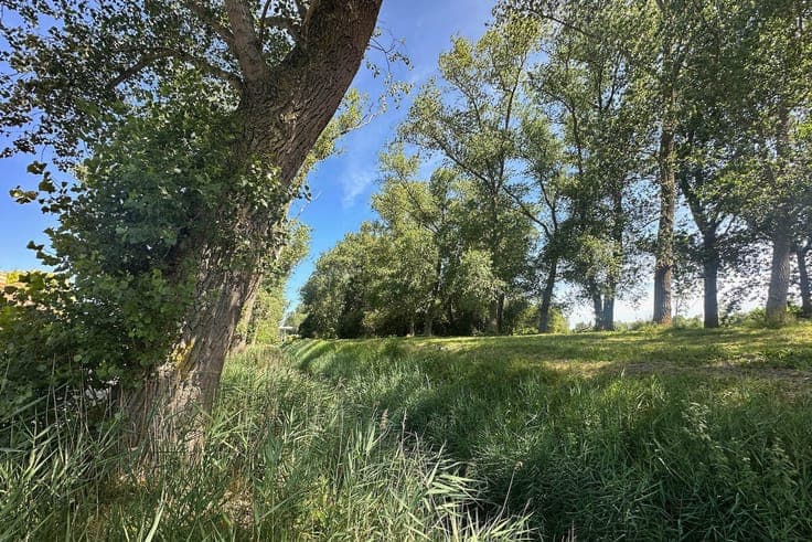 De Rozeblomme, 16e eeuwse abdijhoeve met vergunning voor ...
