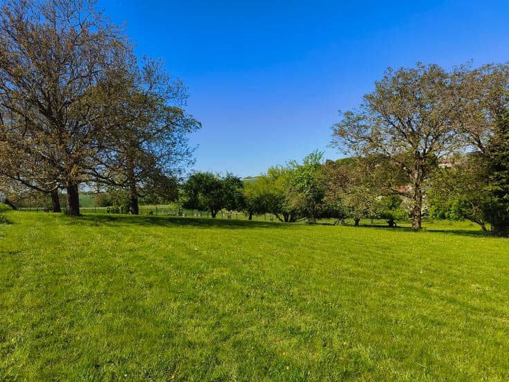 3-bedroom house with large lot, barn, and horse stalls