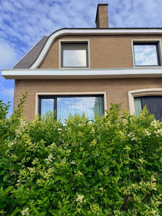 House in Bredene