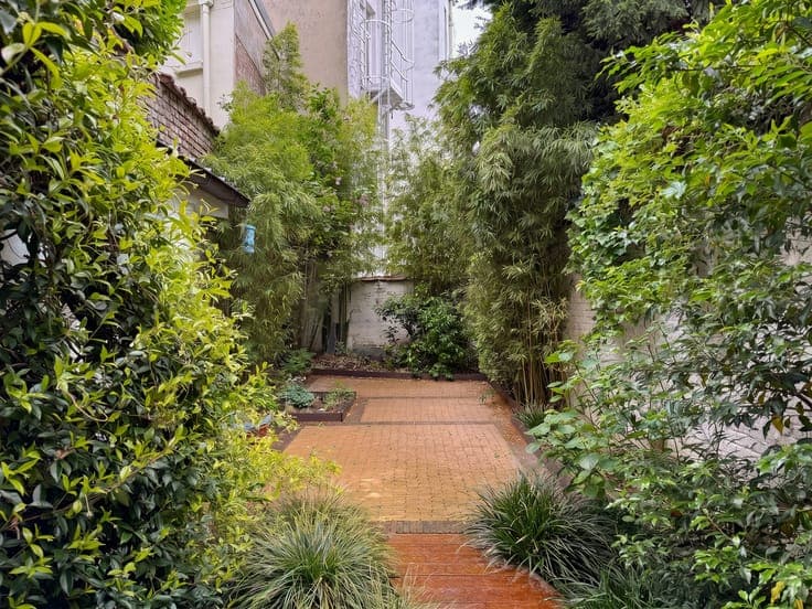 Louise/Bailli – Bourgeois house of ± 321 sqm + garden