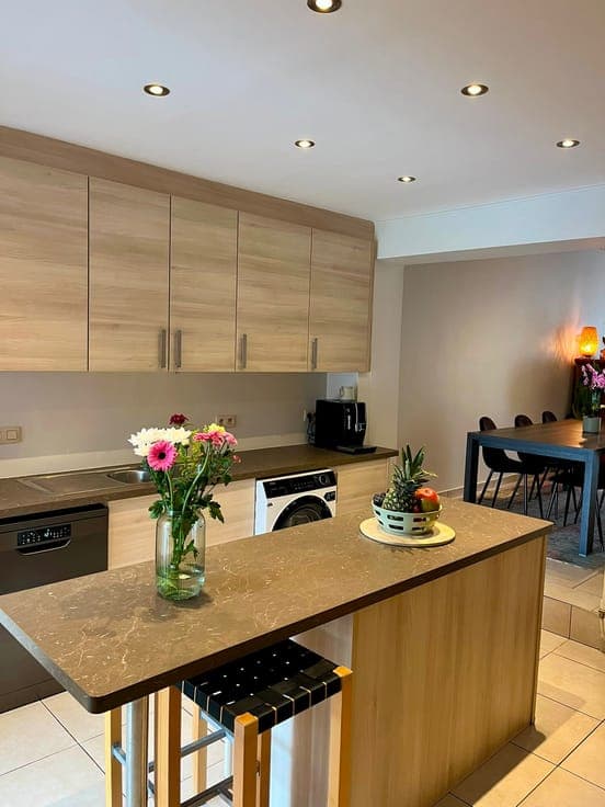 Renovated 4-bedroom house for sale in Vilvoorde