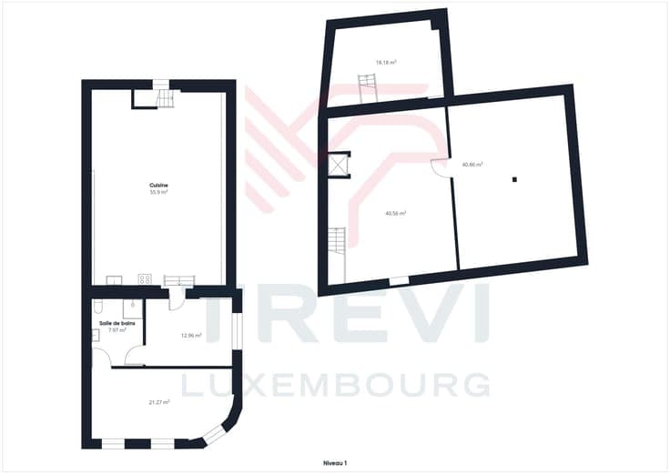 TREVI LUXEMBOURG immeuble mixte commerce/ 2 habitations
