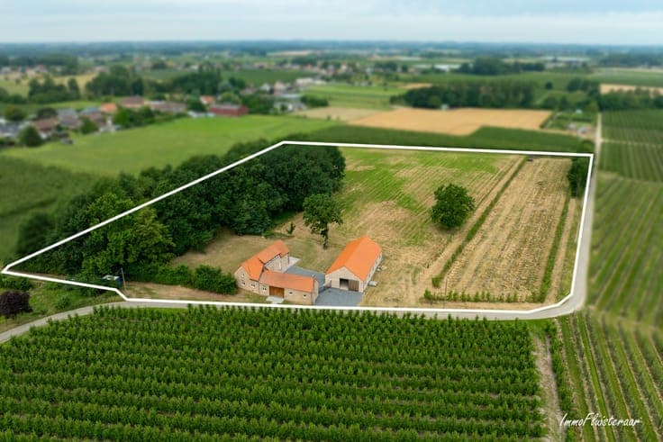 Charming renovated home with stable building on approximate