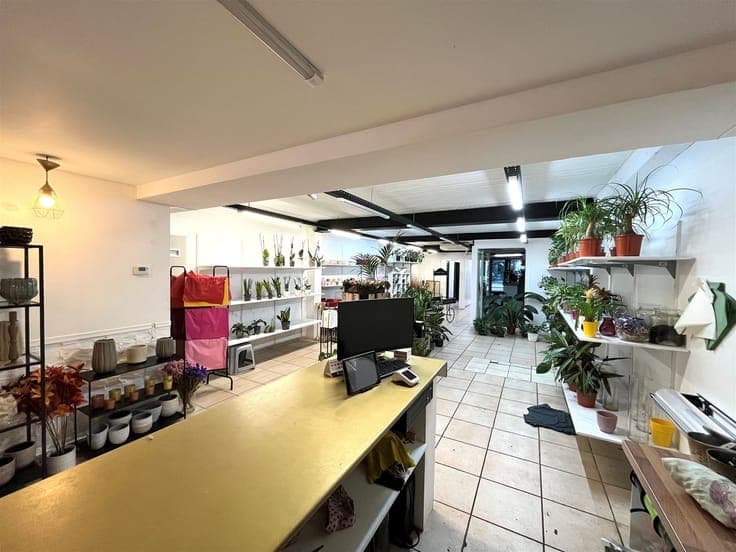 Investment property