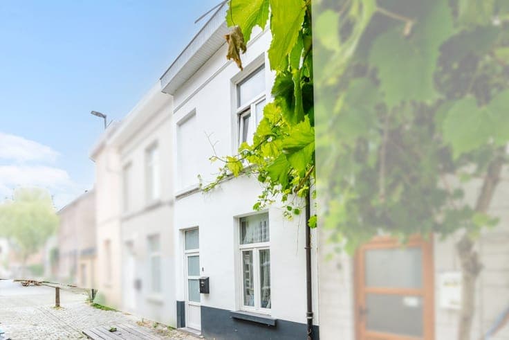 Townhouse in a quiet car-free street in Ghent