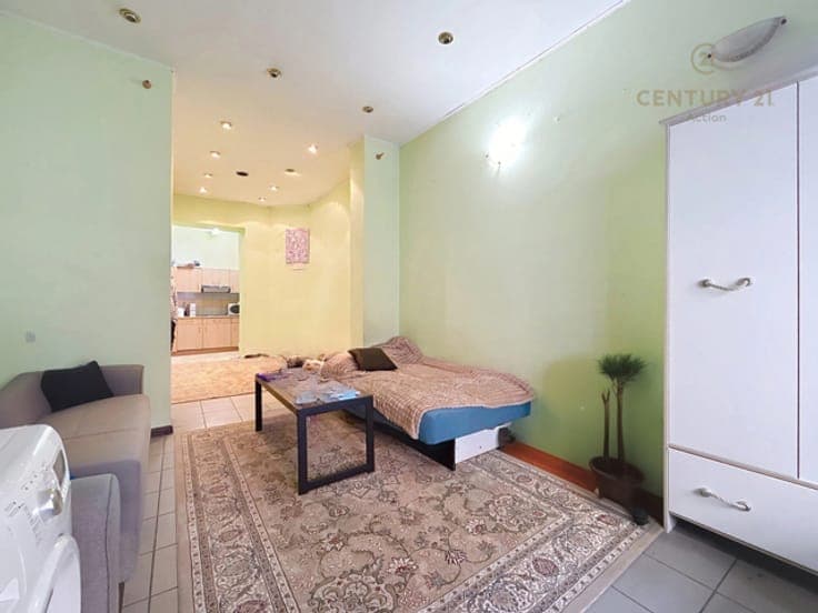 Saint-Josse-ten-Noode - Spacious single-family house for sal