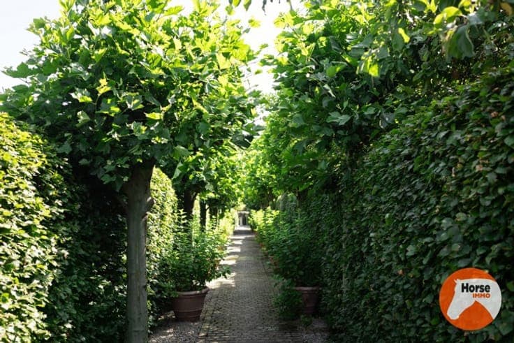 MERELBEKE - Professioneel paardencomplex op 3,35HA