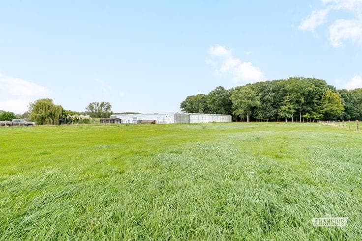 Licensed agricultural property with 3,340 m² greenhouses