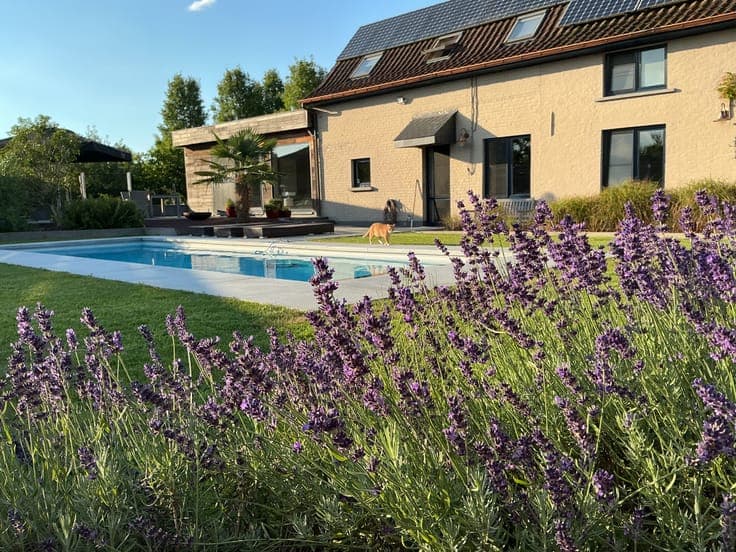 Compact and comfortable house with pool and solar panels