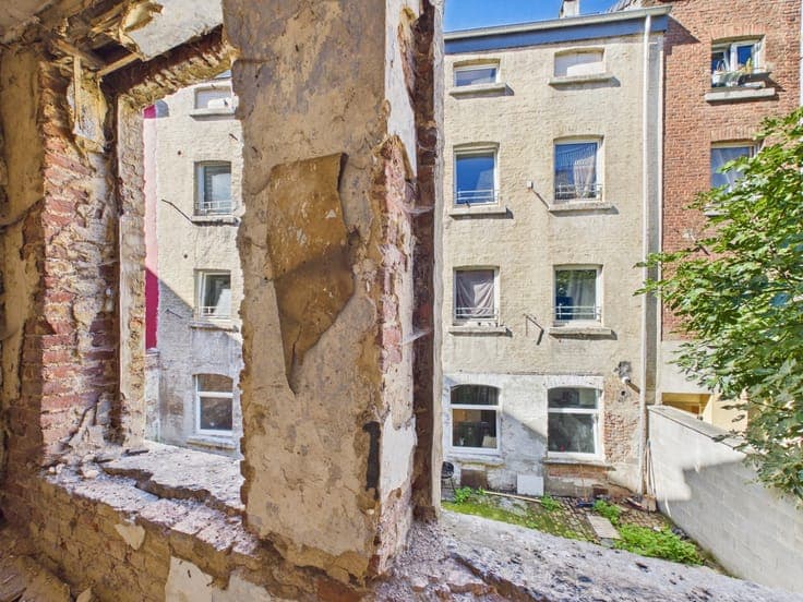 Two houses to renovate