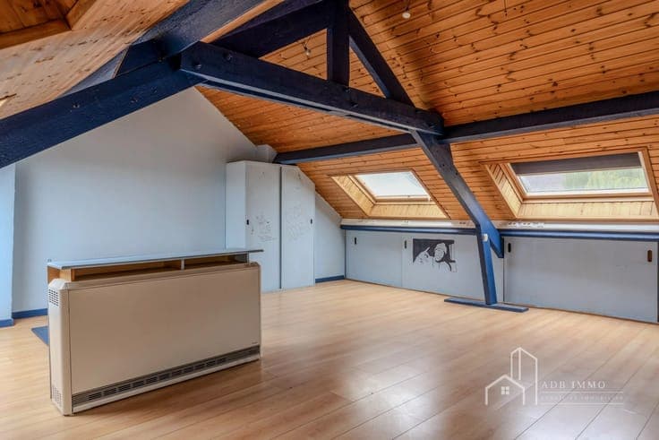 Large 3-bedroom house with garden and garage