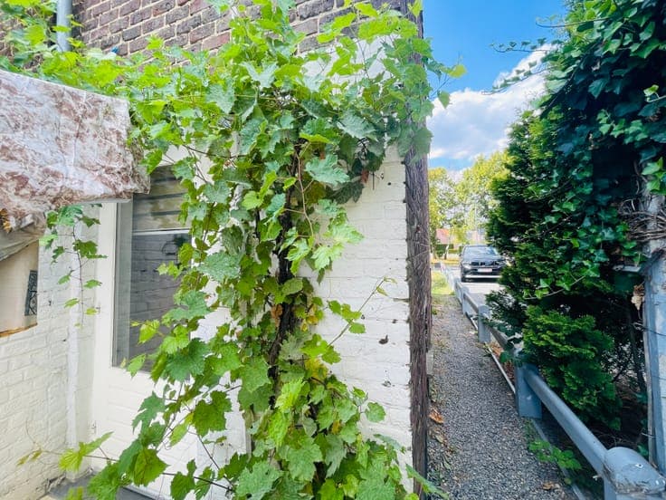 Te renoveren woning met tuin en potentieel in Sint-Marten...