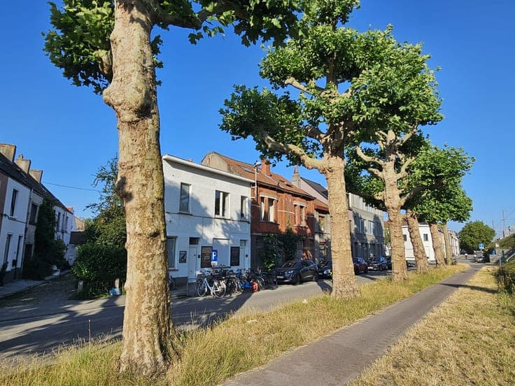 House in Ghent