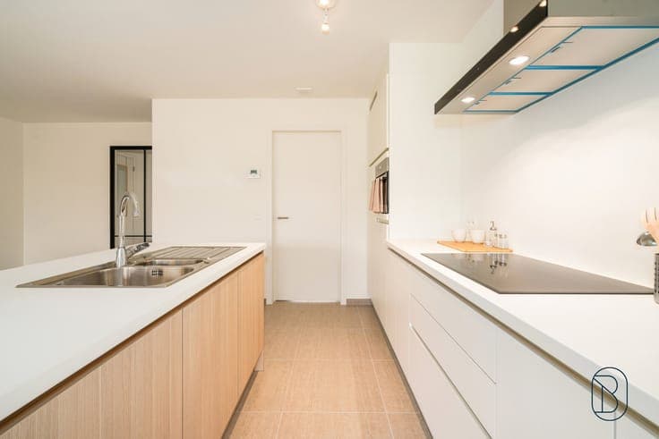 Energy-efficient architect home with garden