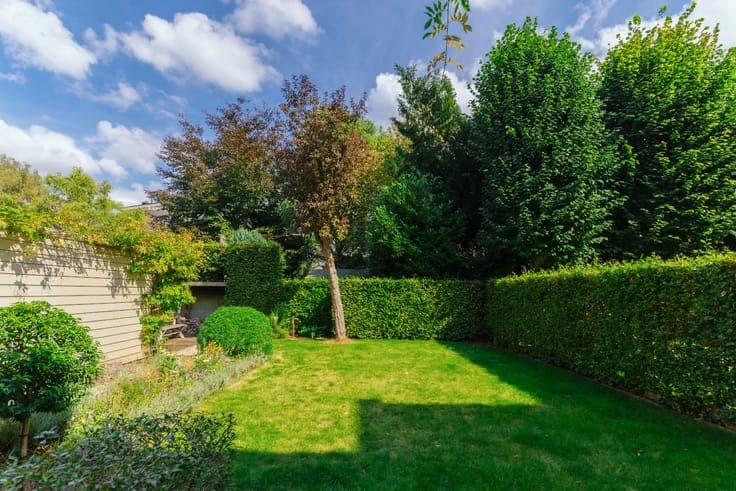 Exceptionally spacious house with garden and garage