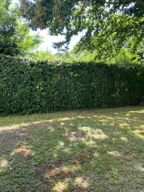 House in Uccle