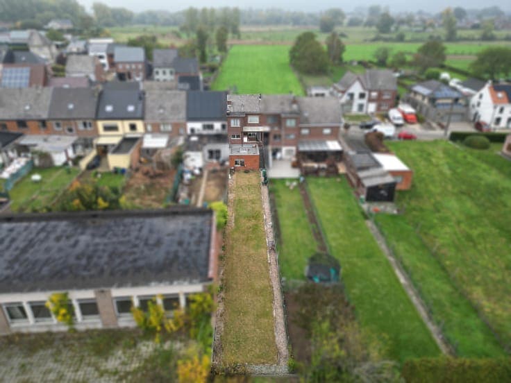 House in Haaltert