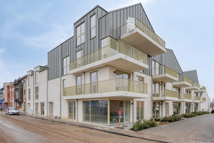 Last available apartment and houses for sale at Denderlink