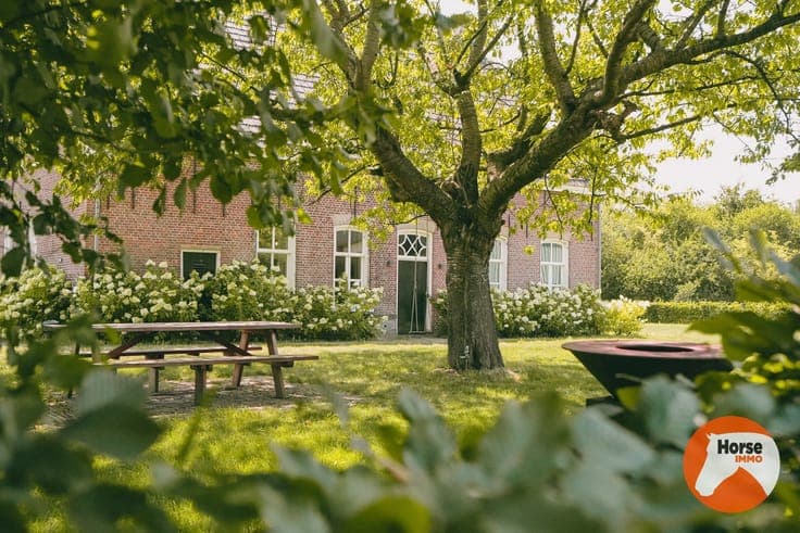 AXEL - Hoeve op een goede locatie met paardenfaciliteiten