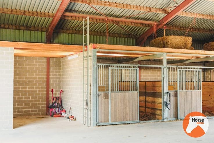 AXEL - Hoeve op een goede locatie met paardenfaciliteiten