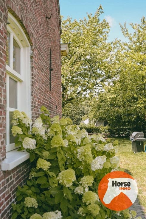 AXEL - Hoeve op een goede locatie met paardenfaciliteiten