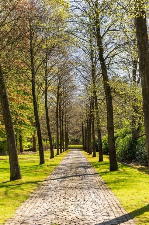 Exclusive estate “De Wilden Hoek”