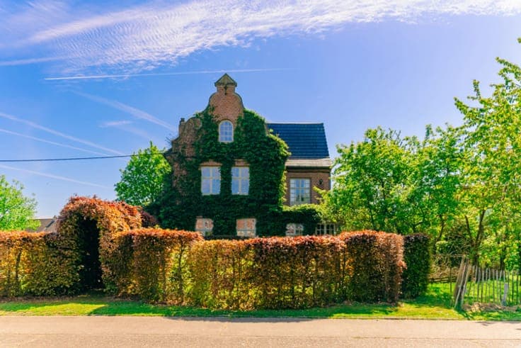 Romantic country house with paradise garden and swim pond