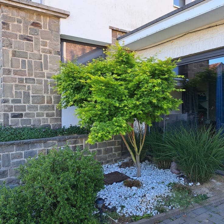 House in Geer