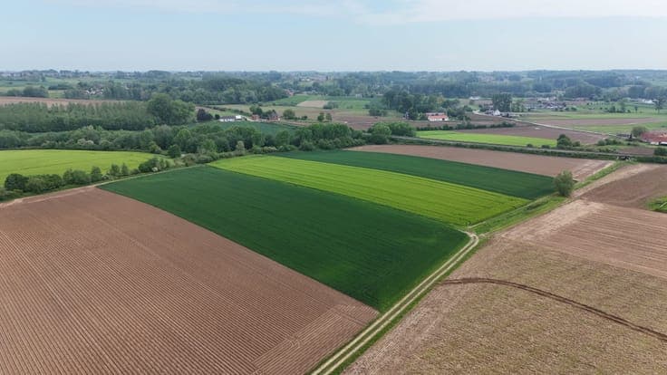 House in Lierde