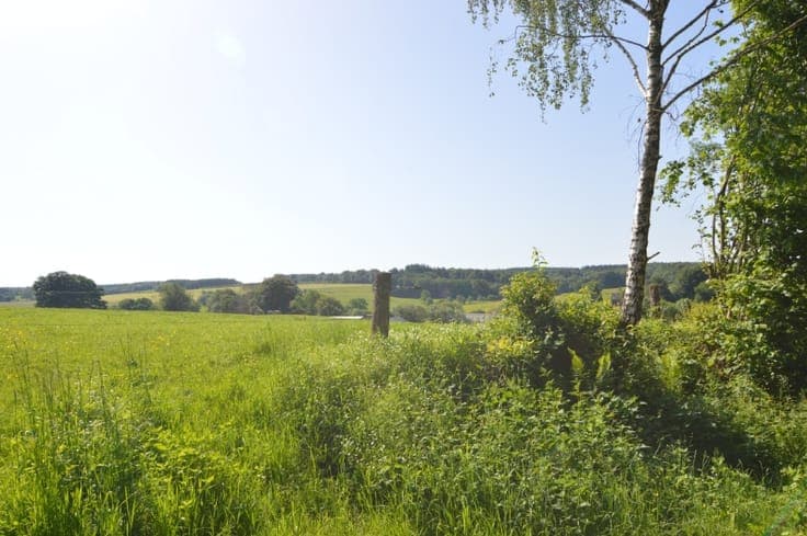 Woning/Gite te koop