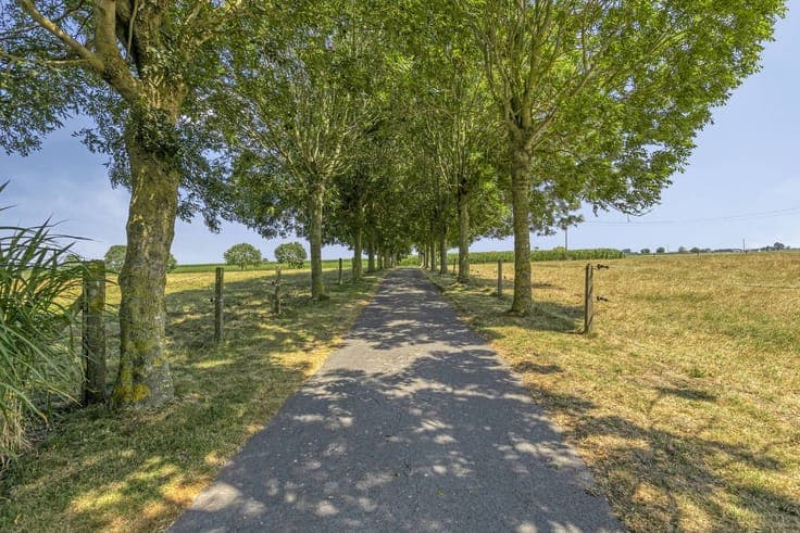 Rural property for sale in Hoogstade