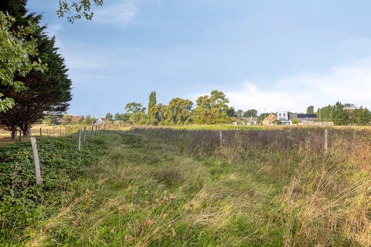 Newly approved home with 7,373 m² of pasture