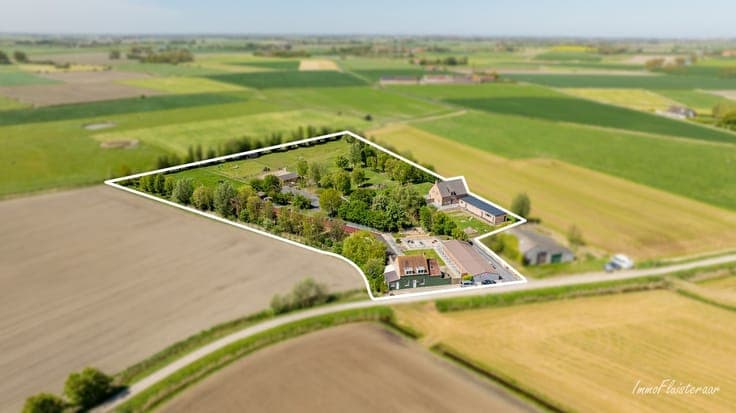 Beautiful estate with a newly built villa and licensed dog