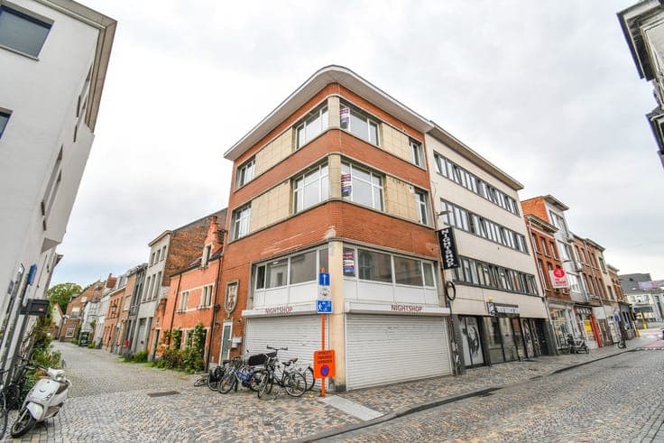 Investment property with 3 apartments and commercial space i