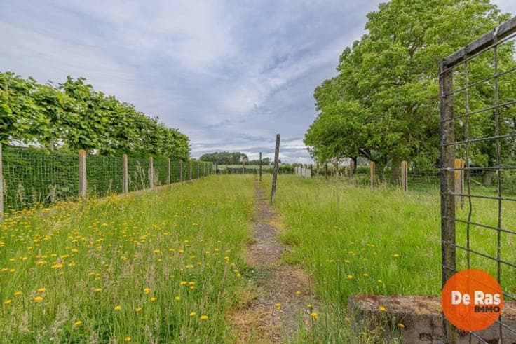 MERE - Renovatiewoning op een prachtige en rustige locatie