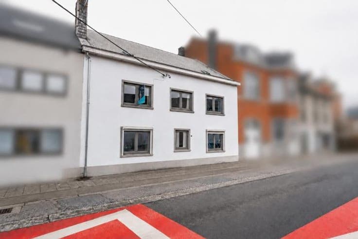 Spacious and bright 4-bedroom house with garden to renovate