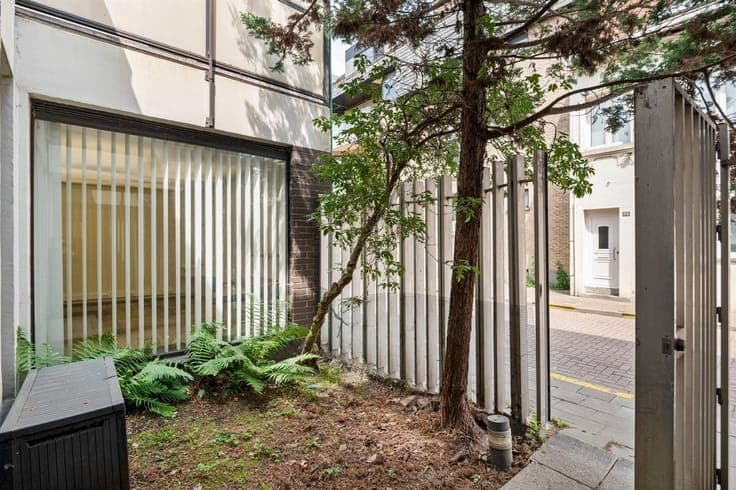 Buitengewoon huis met kantoorruimte
