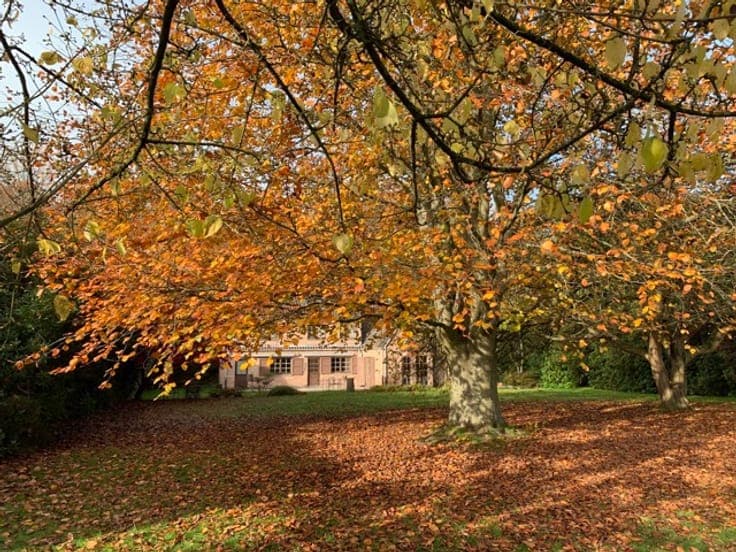 House in Aartselaar