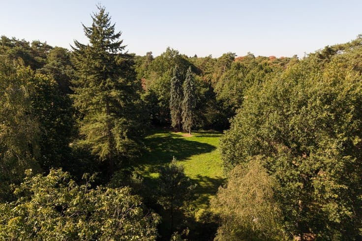 Uniek landgoed van ca. 1,5 hectare op de Heide