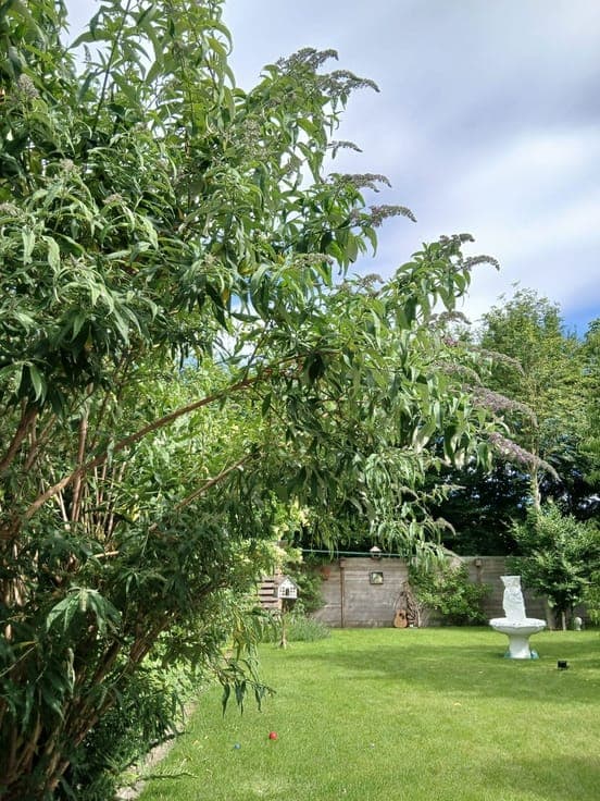 OPBRENGSTEIGENDOM / 456M² / ZONNIGE TUIN