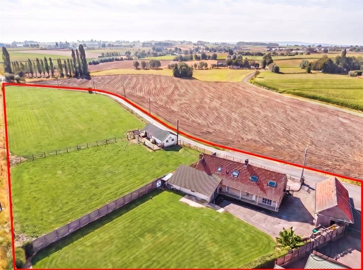 Farmhouse with horse stables and pasture in Anzegem on a 9,9