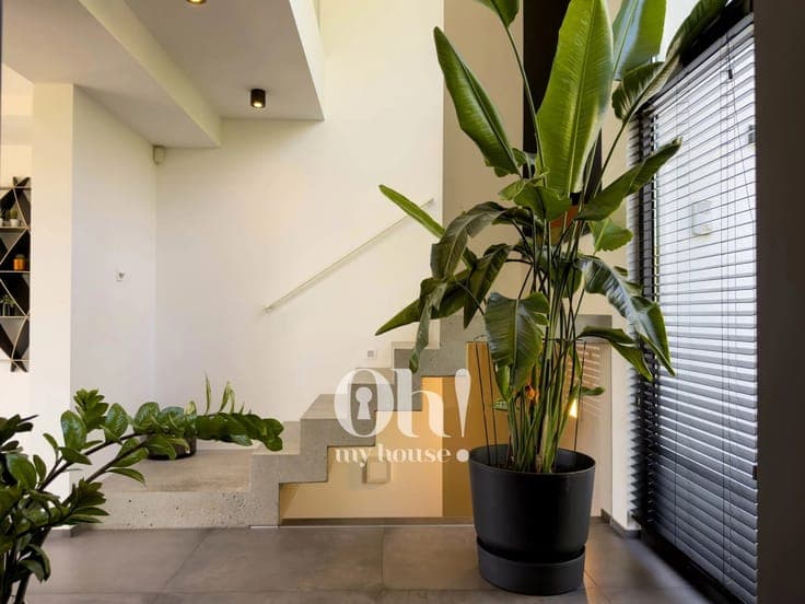 Sale - House Namur - 1,550,000 €
