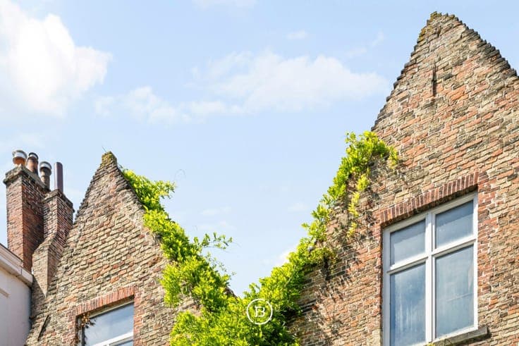 Outstanding renovation project