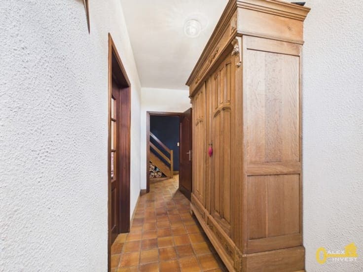 3-bedroom house with garage and 20-are garden
