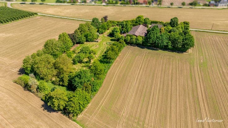 Uniquely located to renovate house with stable building on