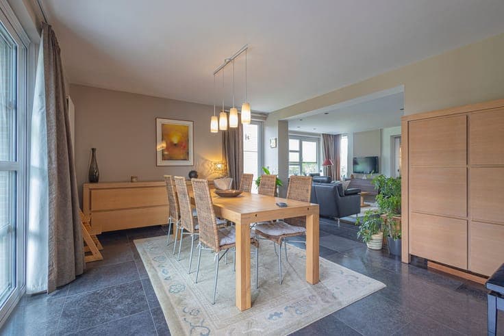 Spacious renovated detached house with swimming pool