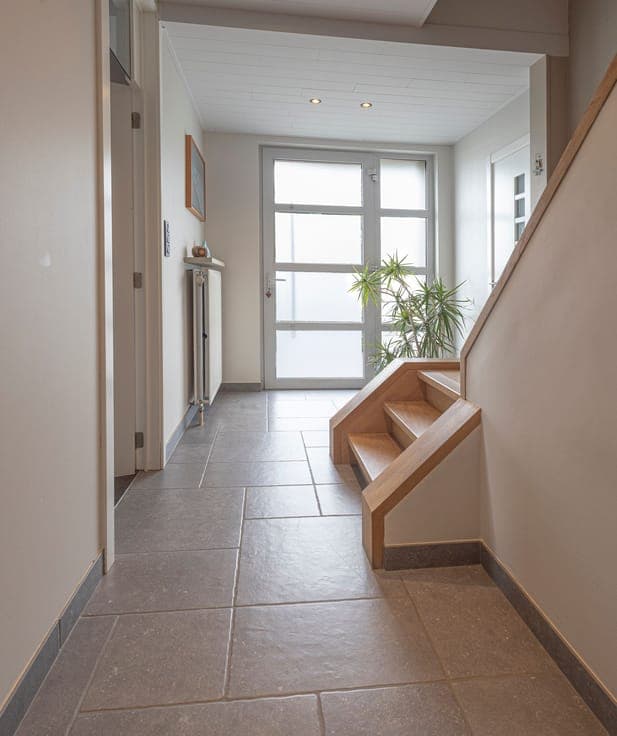 Spacious renovated detached house with swimming pool