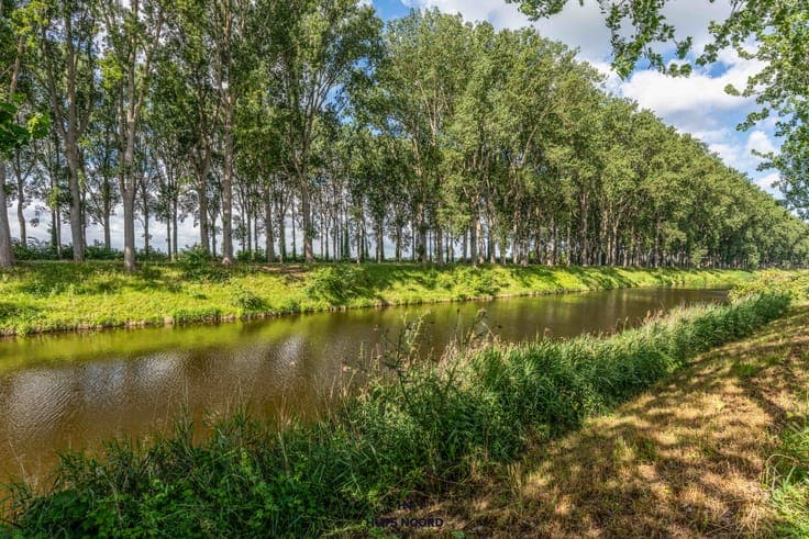 A charming farmhouse with panoramic views of the polder