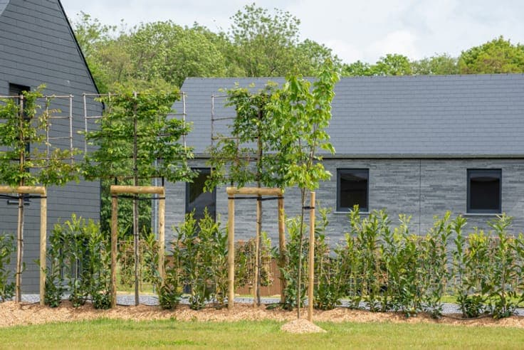 Beautiful New Homes with Unobstructed Views